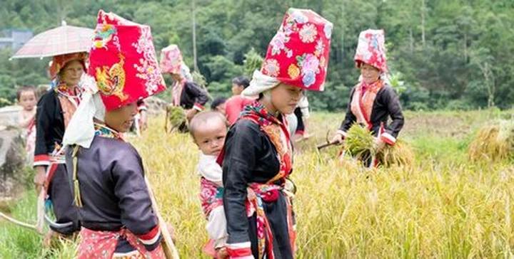 ---Bài viết 2---
